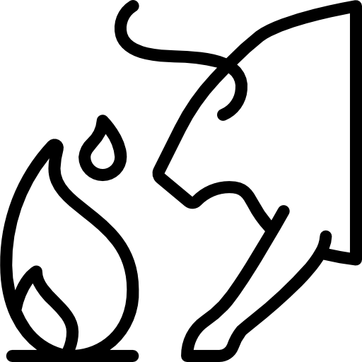 toro de fuego