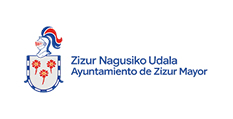 Zizur
